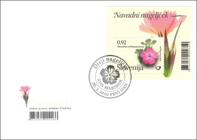 FLORA - DIVJI NAGELJČKI